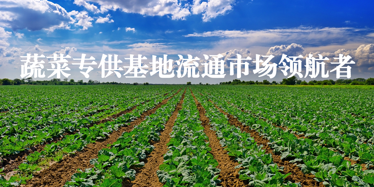 伊朗最新谈判方案细节曝光,特朗普:伊朗“新提议”不可接受;五一档总票房突破5亿;张雪发声:很遗憾;余额宝,破“1”丨每经早参 - 青岛新坤检测 ...